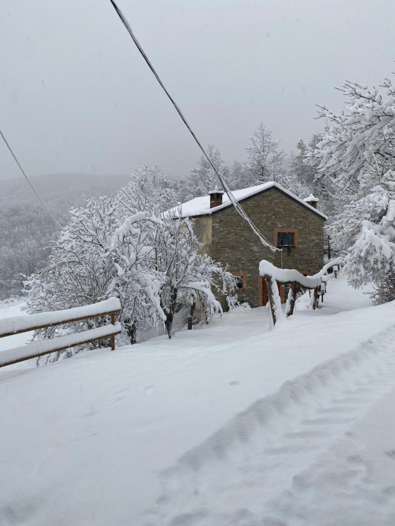 Bed and Breakfast La Lupa E L'Orso Berceto Exterior foto
